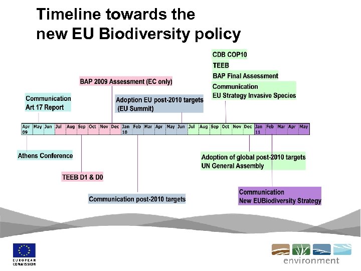 Timeline towards the new EU Biodiversity policy 