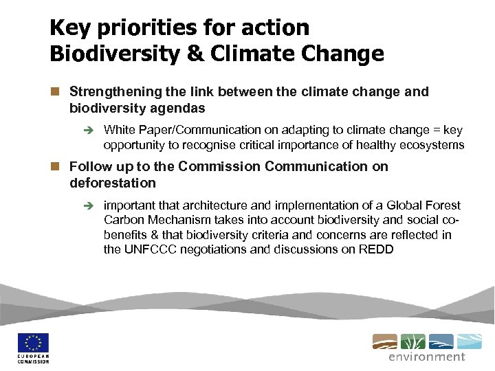 Key priorities for action Biodiversity & Climate Change n Strengthening the link between the