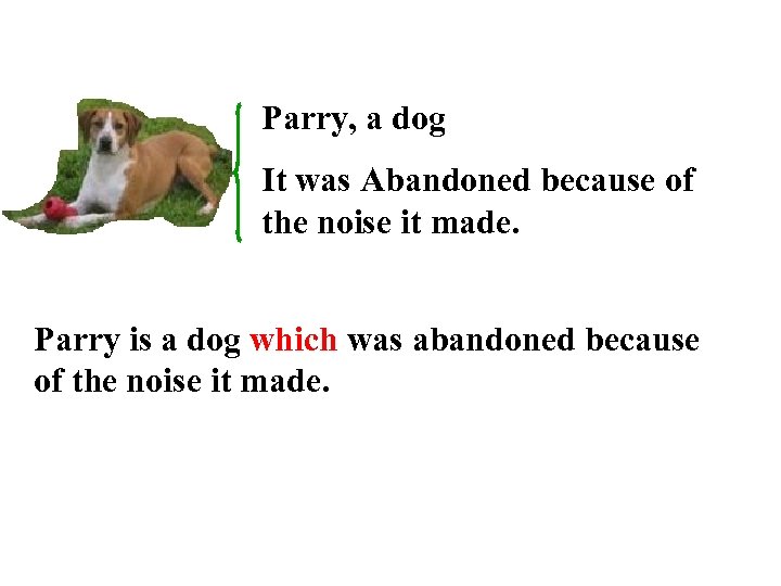 Parry, a dog It was Abandoned because of the noise it made. Parry is