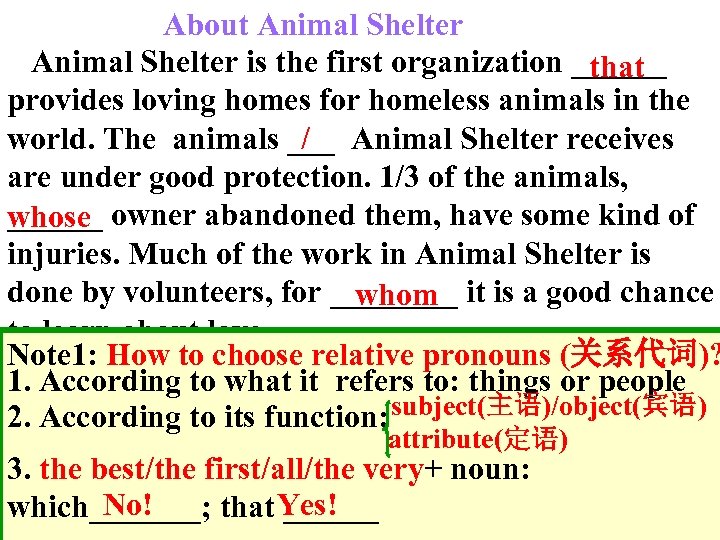 About Animal Shelter is the first organization ______ that provides loving homes for homeless