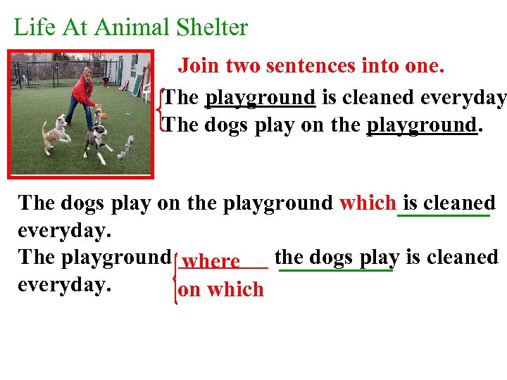 Life At Animal Shelter Join two sentences into one. The playground is cleaned everyday