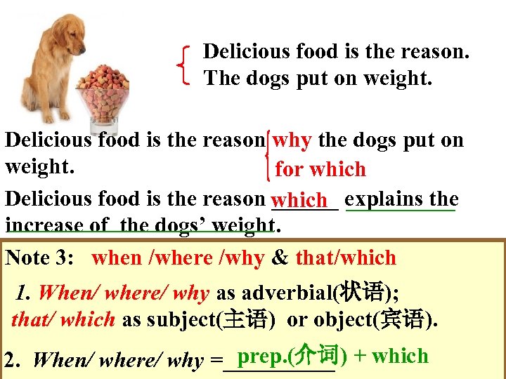 Delicious food is the reason. The dogs put on weight. Delicious food is the