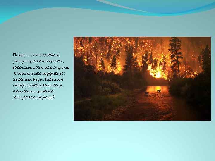 Пожар — это стихийное распространение горения, вышедшего из под контроля. Особо опасны торфяные и