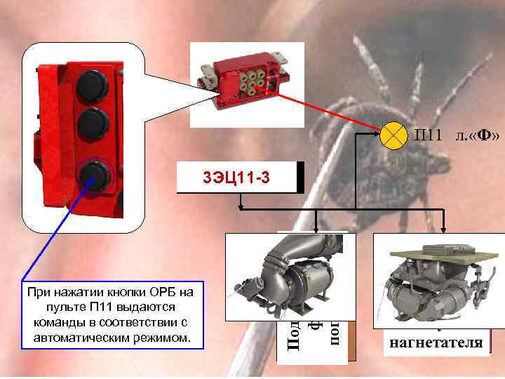 П 11 л. «Ф» При нажатии кнопки ОРБ на пульте П 11 выдаются команды