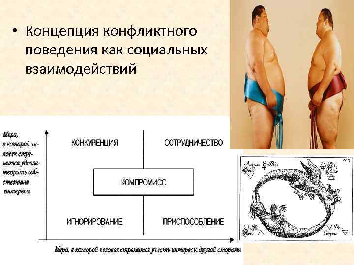  • Концепция конфликтного поведения как социальных взаимодействий 