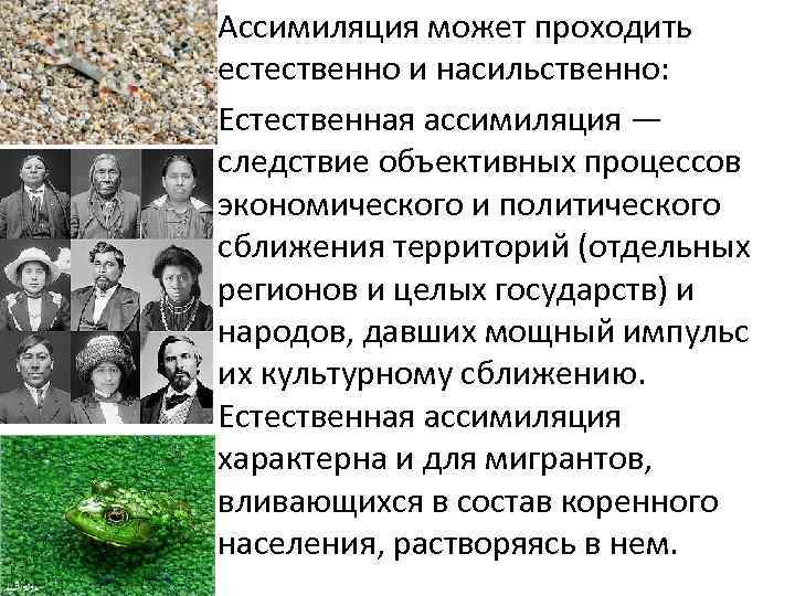  • Ассимиляция может проходить естественно и насильственно: • Естественная ассимиляция — следствие объективных