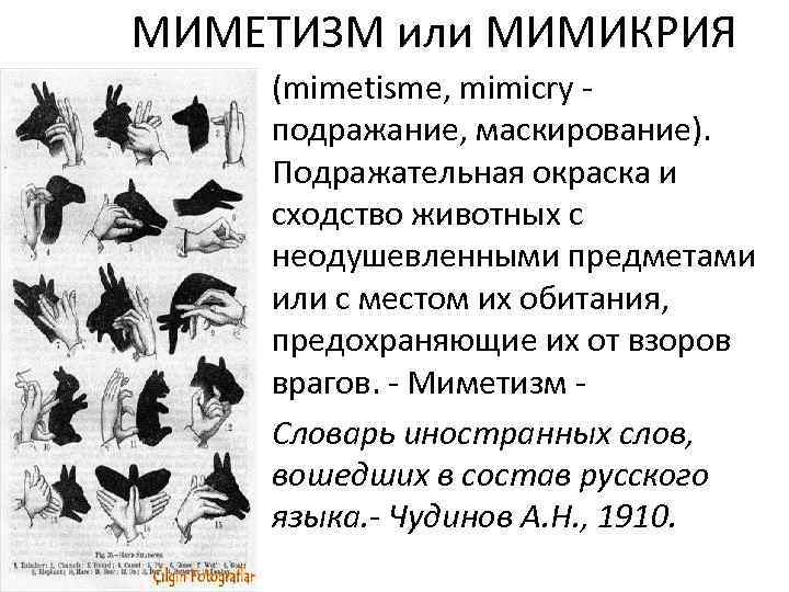 МИМЕТИЗМ или МИМИКРИЯ • (mimetisme, mimicry - подражание, маскирование). Подражательная окраска и сходство животных