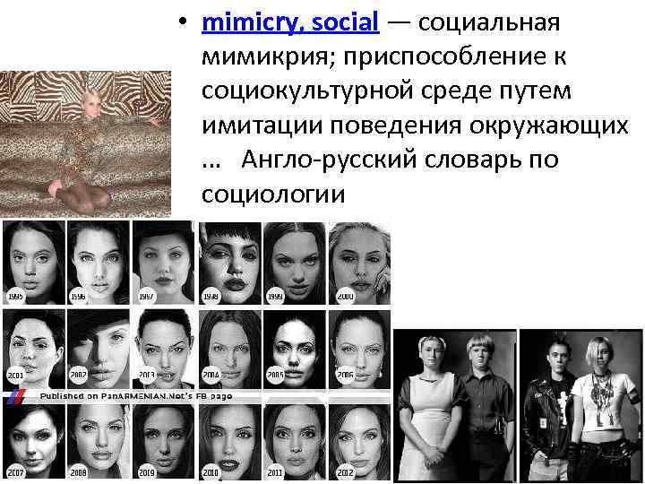  • mimicry, social — социальная мимикрия; приспособление к социокультурной среде путем имитации поведения