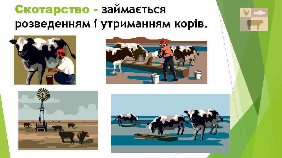 Скотарство - займається розведенням і утриманням корів. 