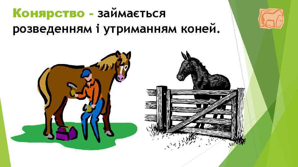 Конярство - займається розведенням і утриманням коней. 