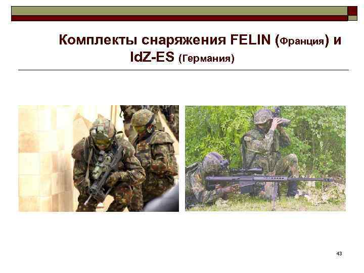Комплекты снаряжения FELIN (Франция) и Id. Z-ES (Германия) 43 