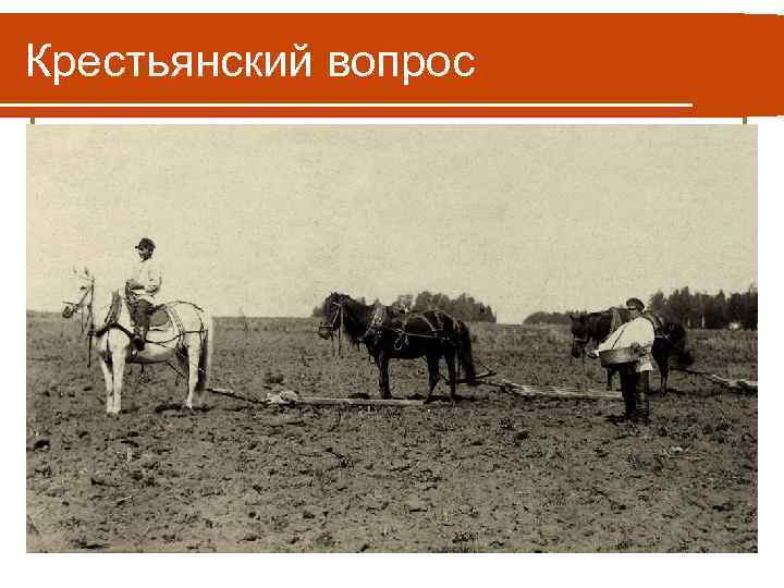 Крестьянский вопрос 