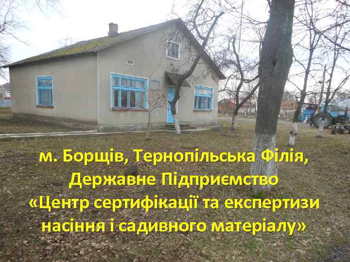 м. Борщів, Тернопільська Філія, Державне Підприємство «Центр сертифікації та експертизи насіння і садивного матеріалу»