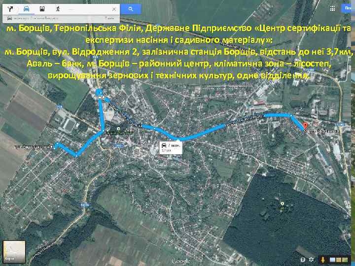 м. Борщів, Тернопільська Філія, Державне Підприємство «Центр сертифікації та експертизи насіння і садивного матеріалу»