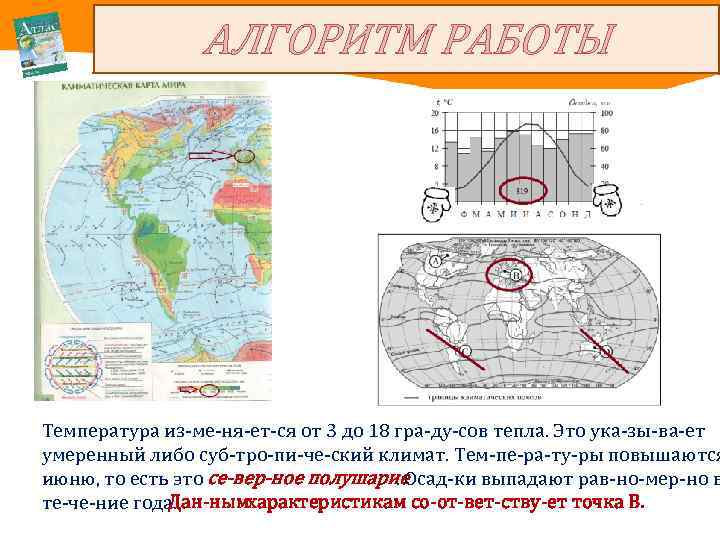 АЛГОРИТМ РАБОТЫ Температура из ме ня ет ся от 3 до 18 гра ду