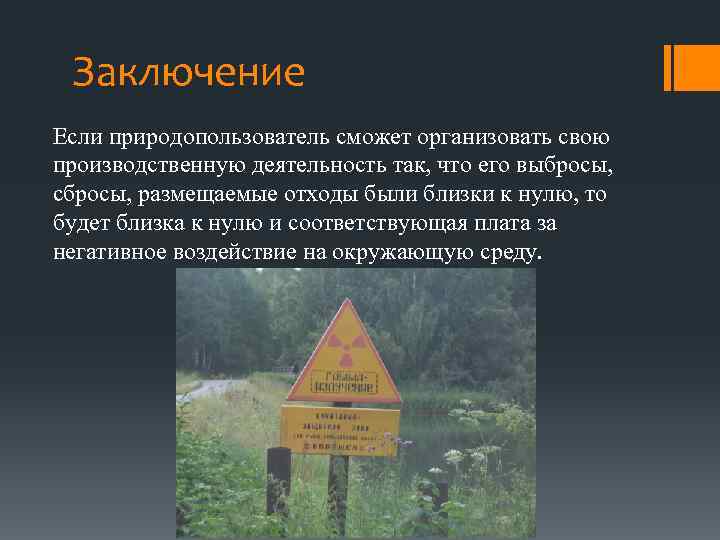 Заключение Если природопользователь сможет организовать свою производственную деятельность так, что его выбросы, сбросы, размещаемые