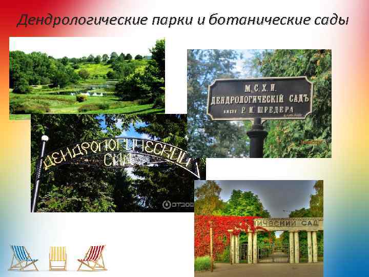 Дендрологические парки и ботанические сады 