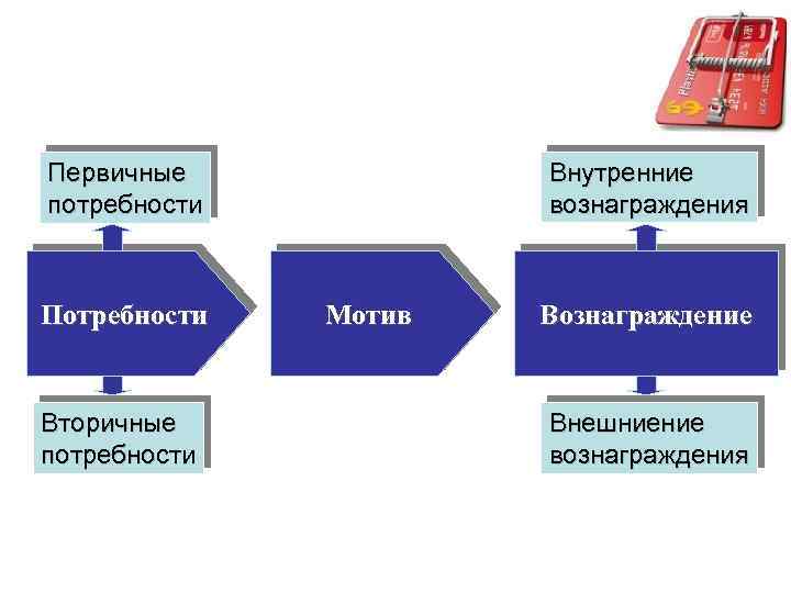 Внутренние вознаграждения Первичные потребности Потребности Вторичные потребности Мотив Вознаграждение Внешниение вознаграждения 