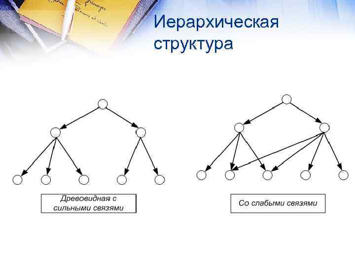 Иерархическая структура сайта картинка