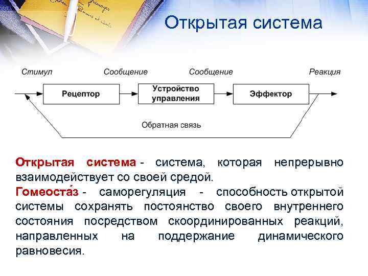 Открытая система - система, которая непрерывно взаимодействует со своей средой. Гомеоста з - саморегуляция