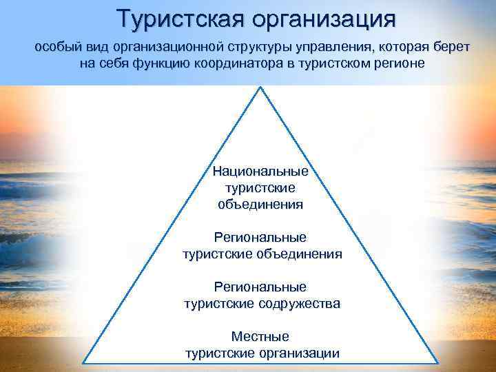 Туристская организация особый вид организационной структуры управления, которая берет на себя функцию координатора в