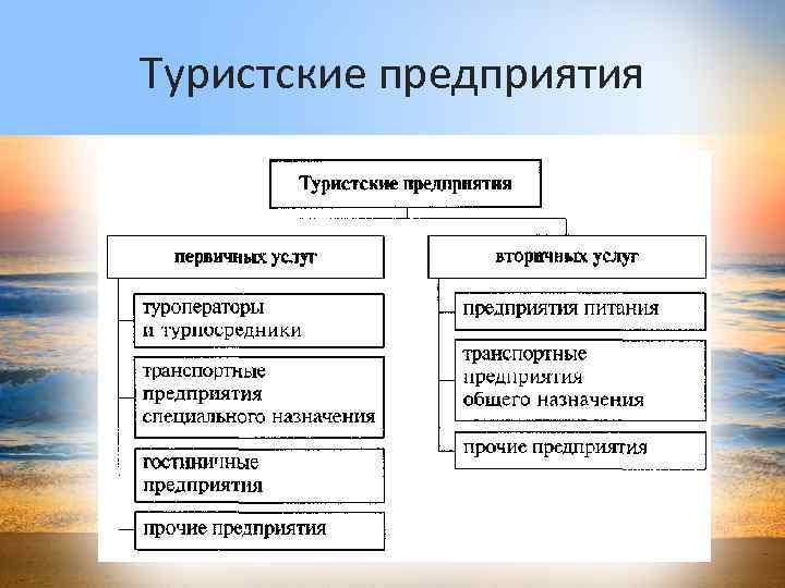 Туристские предприятия 