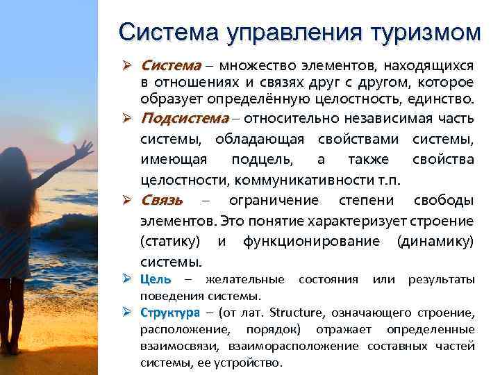 Система управления туризмом Ø Система – множество элементов, находящихся в отношениях и связях друг