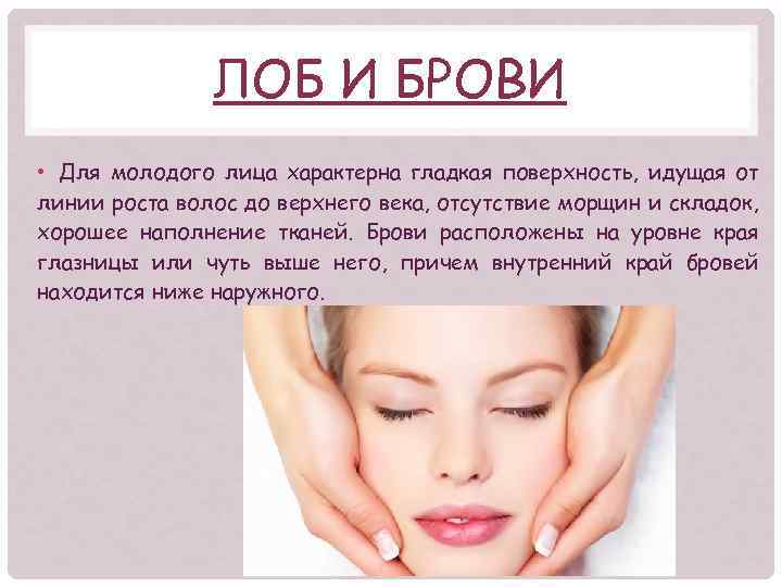 ЛОБ И БРОВИ • Для молодого лица характерна гладкая поверхность, идущая от линии роста