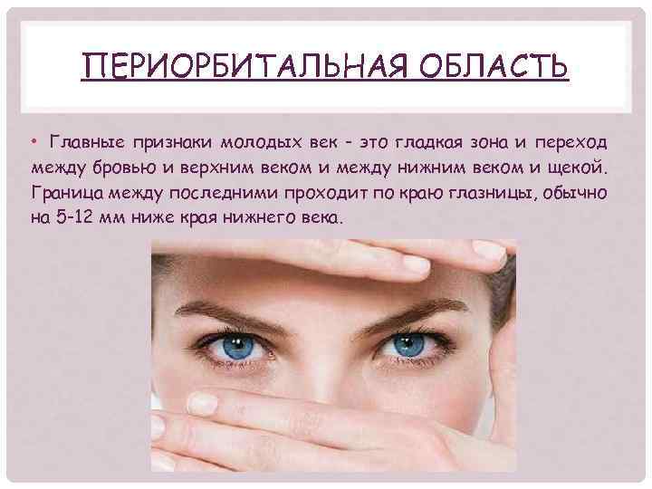 ПЕРИОРБИТАЛЬНАЯ ОБЛАСТЬ • Главные признаки молодых век - это гладкая зона и переход между