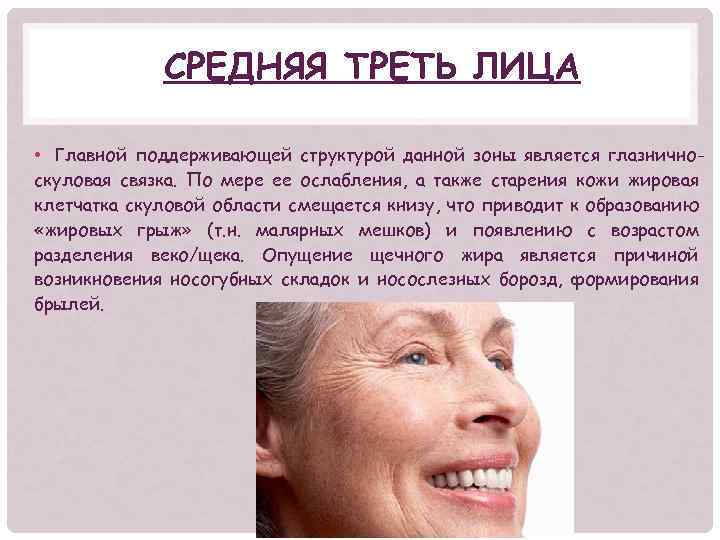 СРЕДНЯЯ ТРЕТЬ ЛИЦА • Главной поддерживающей структурой данной зоны является глазничноскуловая связка. По мере