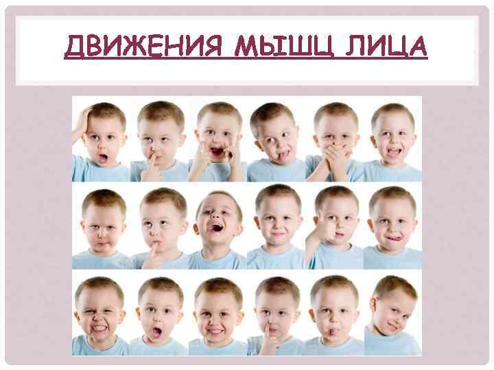 ДВИЖЕНИЯ МЫШЦ ЛИЦА 