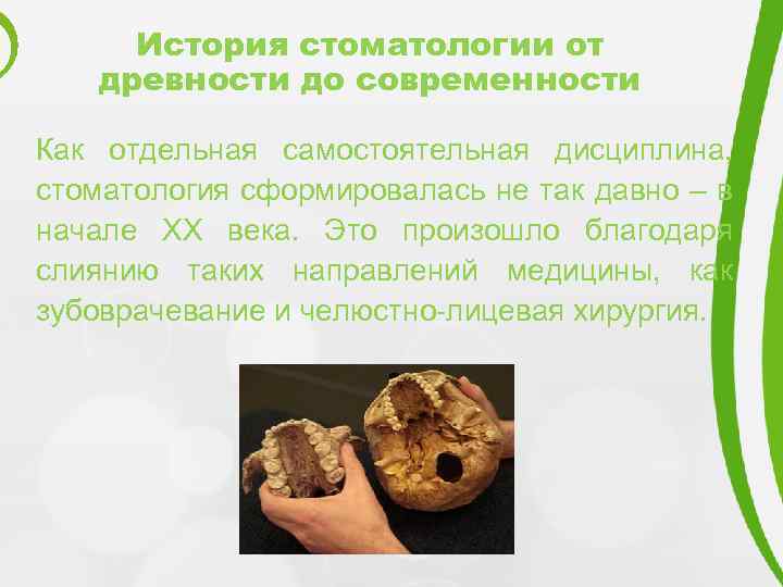 История стоматологии от древности до современности Как отдельная самостоятельная дисциплина, стоматология сформировалась не так