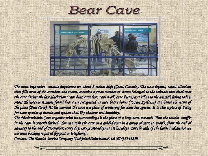 The most impressive cascade dripstones are about 8 metres high (Great Cascade). The cave