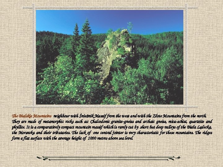 The Bialskie Mountains neighbour with Śnieżnik Massif from the west and with the Złote