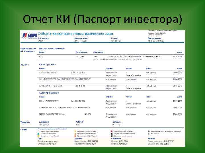 Отчет КИ (Паспорт инвестора) 