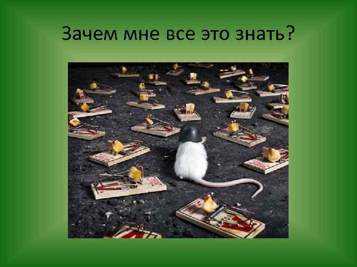 Зачем мне все это знать? 