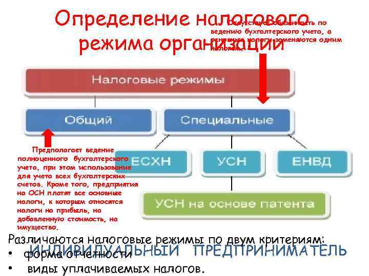 Определение налогового режима организации Отсутствует обязанность по ведению бухгалтерского учета, а основные налоги заменяются