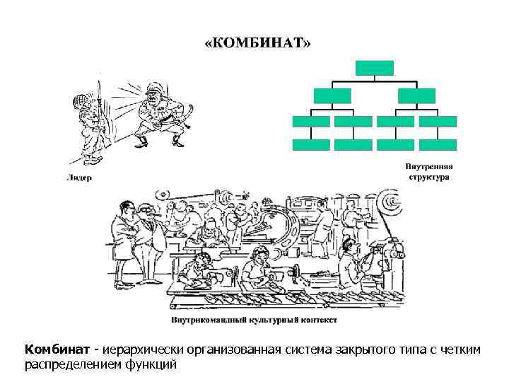 Комбинат - иерархически организованная система закрытого типа с четким распределением функций 