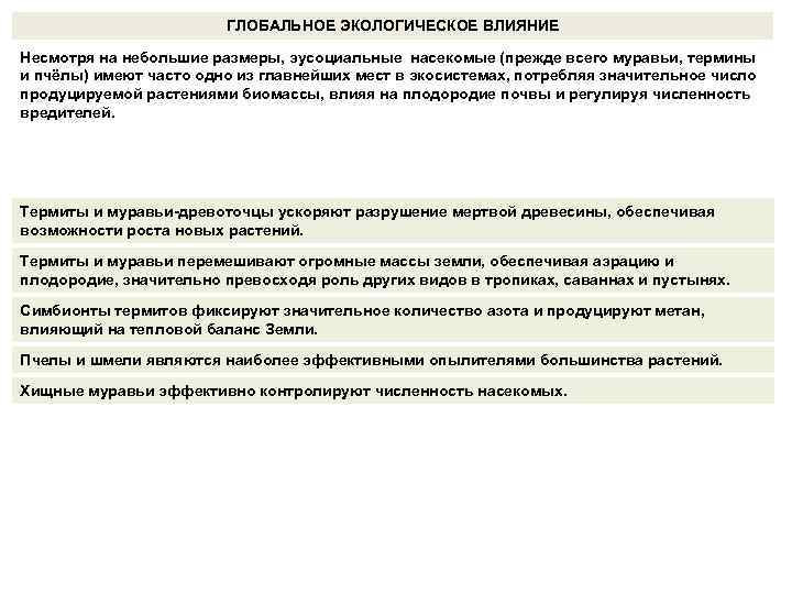 ГЛОБАЛЬНОЕ ЭКОЛОГИЧЕСКОЕ ВЛИЯНИЕ Несмотря на небольшие размеры, эусоциальные насекомые (прежде всего муравьи, термины и