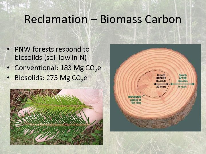 Reclamation – Biomass Carbon • PNW forests respond to biosolids (soil low in N)