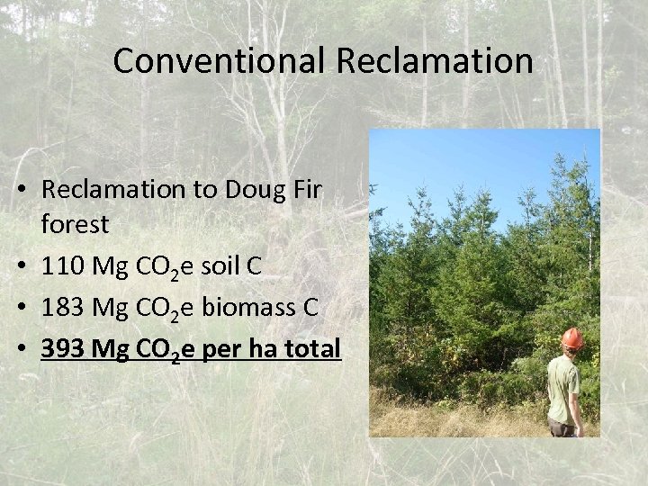 Conventional Reclamation • Reclamation to Doug Fir forest • 110 Mg CO 2 e