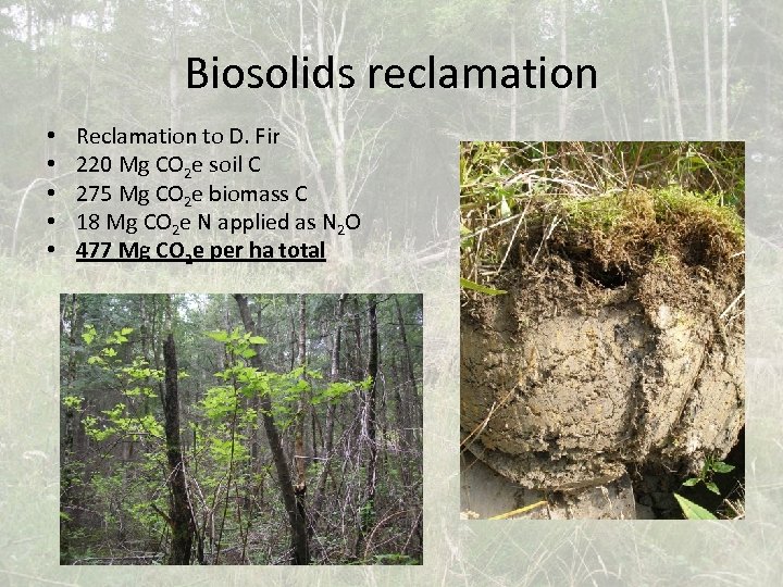 Biosolids reclamation • • • Reclamation to D. Fir 220 Mg CO 2 e