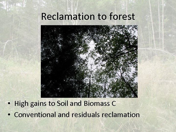 Reclamation to forest • High gains to Soil and Biomass C • Conventional and