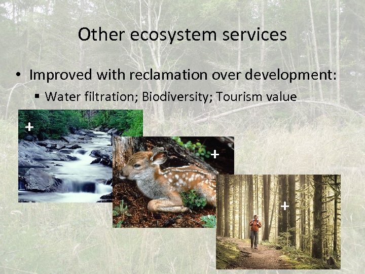 Other ecosystem services • Improved with reclamation over development: § Water filtration; Biodiversity; Tourism