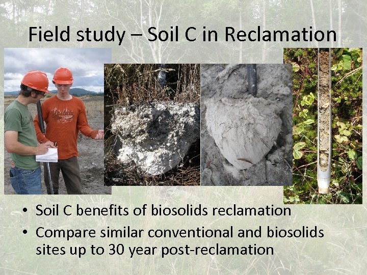 Field study – Soil C in Reclamation • Soil C benefits of biosolids reclamation