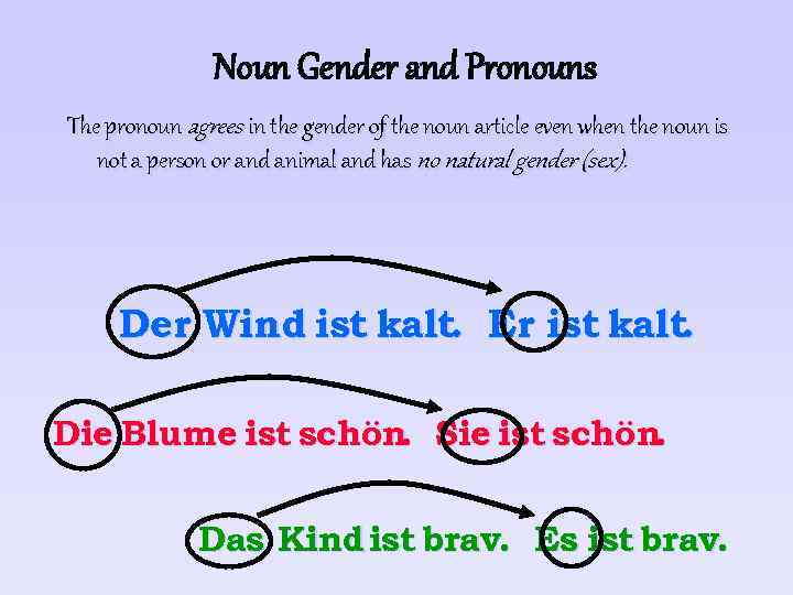 Noun Gender and Pronouns The pronoun agrees in the gender of the noun article