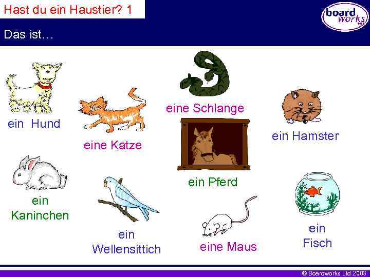 Hast du ein Haustier? 1 Das ist… eine Schlange ein Hund ein Hamster eine