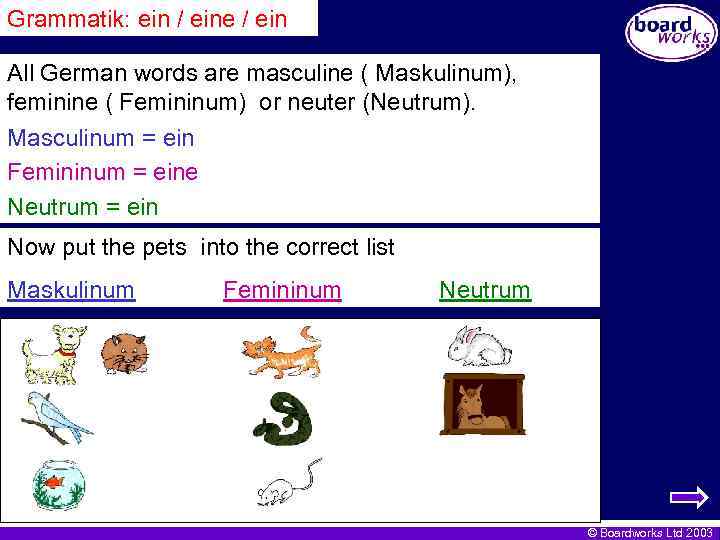 Grammatik: ein / eine / ein All German words are masculine ( Maskulinum), feminine