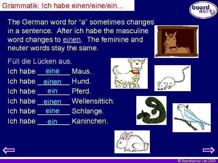 Grammatik: Ich habe einen/eine/ein… The German word for “a” sometimes changes in a sentence.