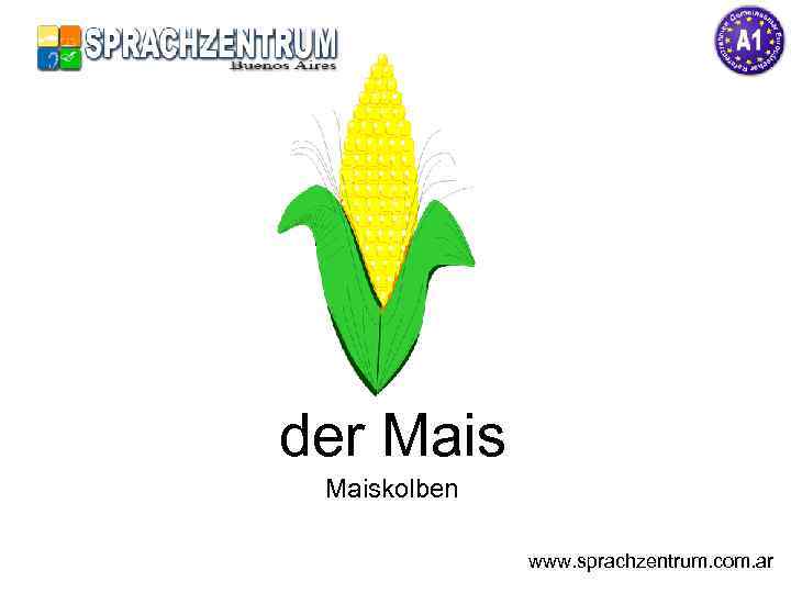 der Maiskolben www. sprachzentrum. com. ar 